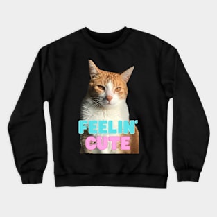 Feeling cute Crewneck Sweatshirt